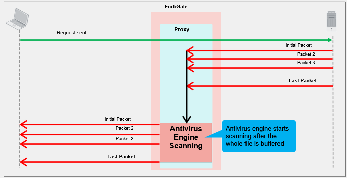 Study diagram